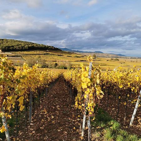 La Grange De Louis Villa Turckheim Luaran gambar